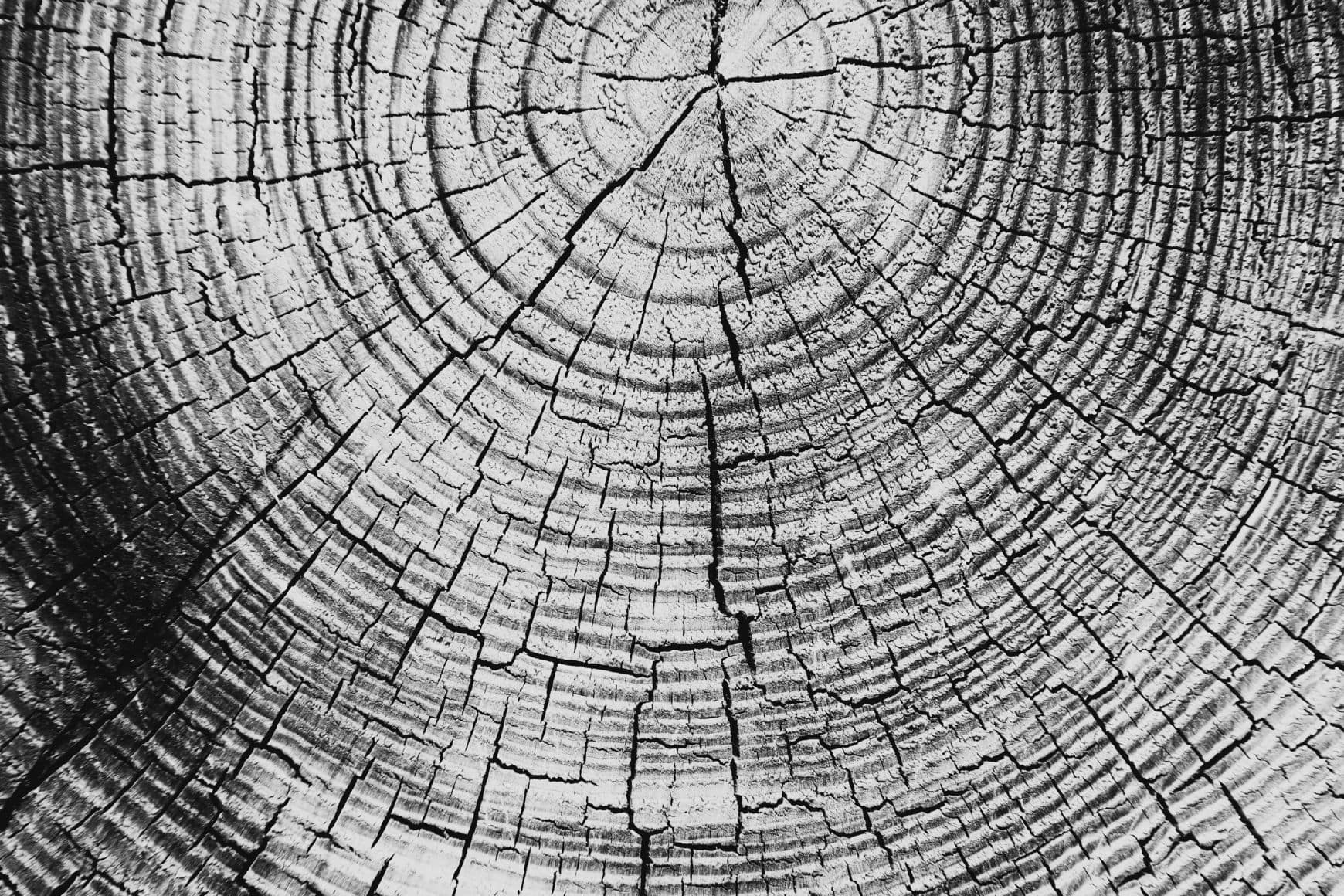 Hauptursachen des Alterns Aging