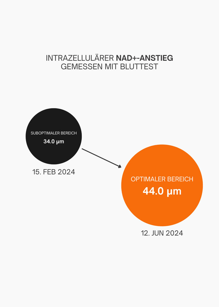 NAD+ Spiegel erhöhen mit NMN