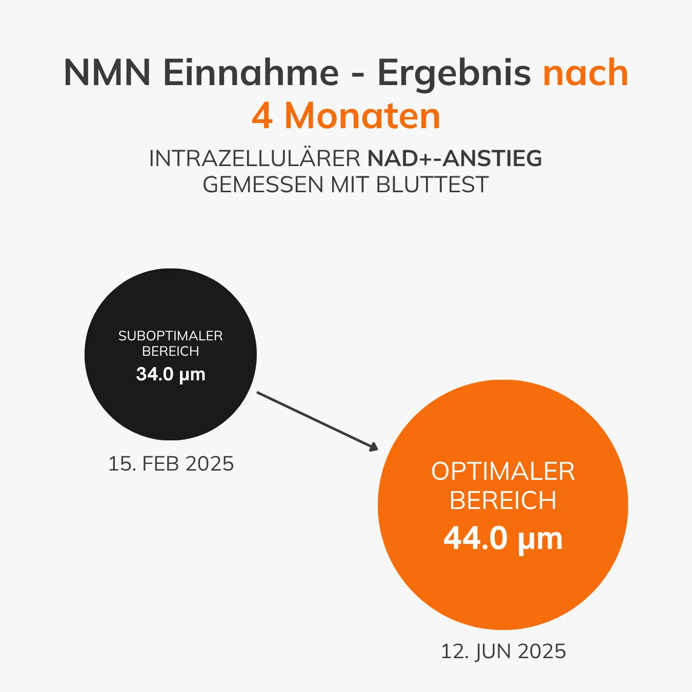 NMN - Le booster de NAD+