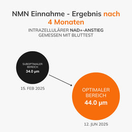 NMN - NAD+ Booster