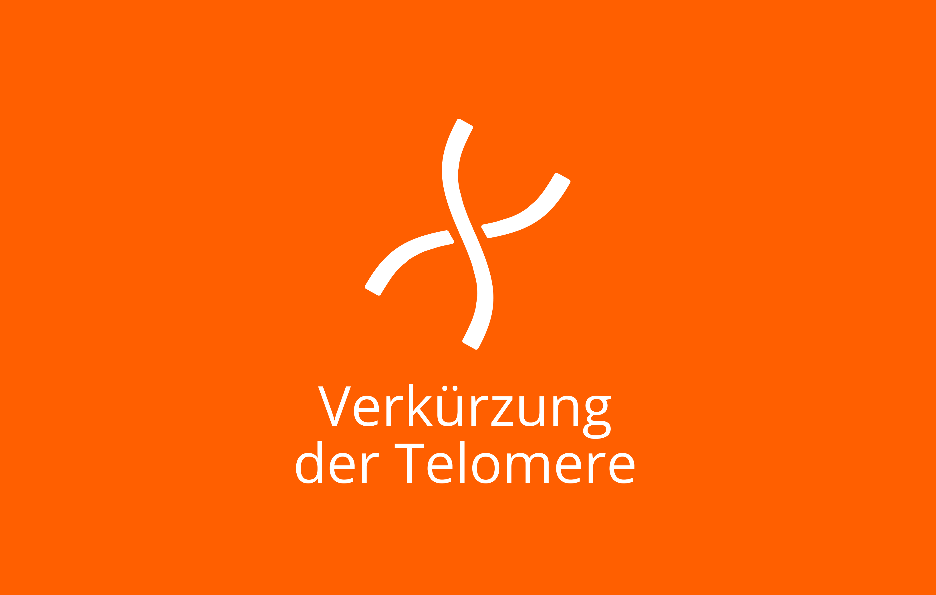 Verkürzung der Telomere beLIVELY